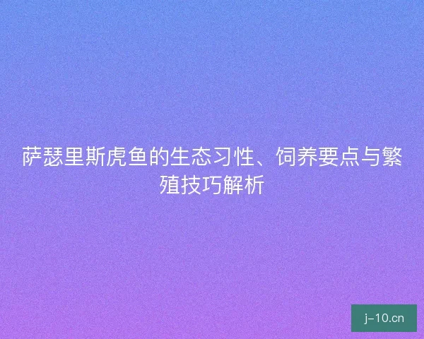 萨瑟里斯虎鱼的生态习性、饲养要点与繁殖技巧解析