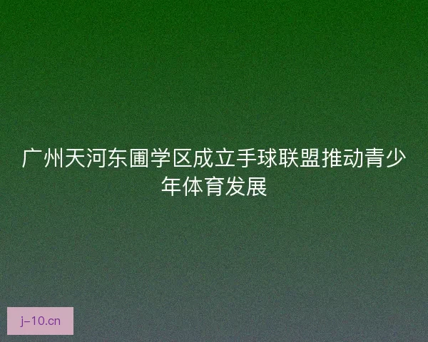 广州天河东圃学区成立手球联盟推动青少年体育发展