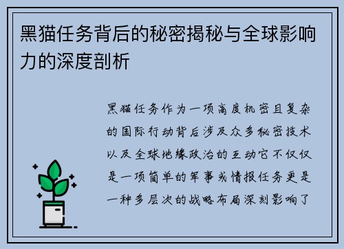 黑猫任务背后的秘密揭秘与全球影响力的深度剖析